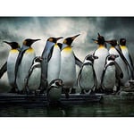 Wee Blue Coo Emperor Penguin Huddle Birds Antarctica Art Print Poster Wall Decor 12X16 Inch