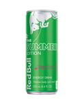 Red Bull Summer Edition Dragefrukt 250ml