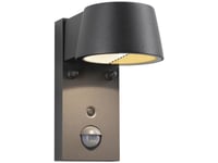 Paulmann Vegglampe Capea Led Utendørs Vegglampe 6W 450Lm 2200-3000K Bevegelse + Skumringssensor Ip44 Svart 230V Svart Aluminium