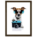 Wee Blue Coo Funny Photo Jack Russell Dog Shades Camera Artwork Framed Wall Art Print A4