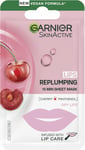 2 x Garnier SkinActive Moisture Bomb Cherry Lip Mask 5g