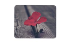 Pretty Red Geranium Flower Mouse Mat Pad - Mum Sister Aunty Gift Computer #13064