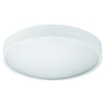 Zebra Vägg- /Taklampa LED Plafond Lennox 17W RF-X