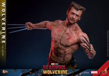 Hot Toys 1:6 Wolverine (TVA Jacket Version) - Deadpool & Wolverine