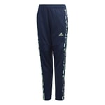 adidas TIRO19PNTGFXSYG Sport Trousers - Collegiate Navy/Glory Mint, 5-6Y