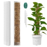 Vicloon Tuteur Plante en Plastique, 2pcs Tuteur Plante Grimpante, Poteaux en Mousse Transparent, Tuteur Monstera, Poteaux Grimpantes pour Maison Jardin de Support de Plante