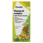 Floradix Vitamin B kompleks 250 ml