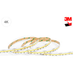 LightMore High-Lumen LED strip 10M 15,36W/meter 4000K