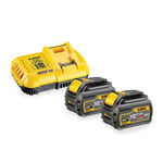 Batteri & Laddare Dewalt DCB118T2-QW 18 V