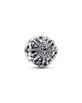 Pandora Snowflake Sterlinghopea Riipus 792360C00