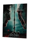 SD toys Poster Harry Potter and Voldemort, Glass Acrylic, Multicoloured, 41x31x3 cm