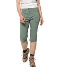 Jack Wolfskin Activate Light 3/4 Pants Women, Picnic Green, 36