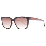 Guess Marron Hommes Homme Lunettes de Soleil Authentique