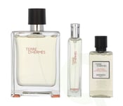 Hermes Terre D'Hermes Giftset 155 ml Edt Spray 100/Edt Spray 15ml/Hair and Body Shower Gel