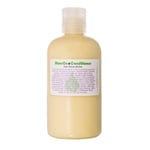 Living Libations Shine On Hair Balsam 240 ml