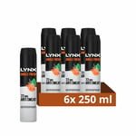 Lynx Jungle Fresh XXL Anti-Perspirant Aerosol Men's Deodrant Spray with a palm leaves & amber scent for 72 hours protection against odour and wetness 6x 250 ml