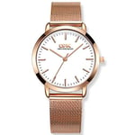 Basfur Dress Watch Fe-Montre-013-01