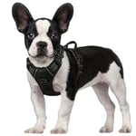 rabbitgoo Harnais Chien S Arnais Noir Anti Traction Réfléchissant Gilet Réglable pour Petit Chien, Attache Devant Crochet de Laisse pour Randonnée Trajet Voiture, Jack Russell