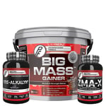 Big Mass Gainer, 3000 g + Bonusprodukt