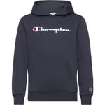 Champion ICONS Hoodie Gutt