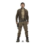 Star Cutouts Ltd Official Star Wars Rogue One Captain Cassian Andor Diego Luna Cardboard Cutout, 178 x 60 x 178 cm