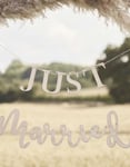 Just Married Banner i Tre 1,5 m - Botanisk Bryllup