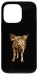 Coque pour iPhone 13 Pro Cochon doré