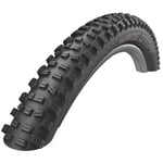 Schwalbe Hans Dampf TwinSkin TLR 29x2.35 Fold Tyre