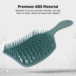 Hollow Hair Brush Detangling Wet Dry Use Fast Blow Drying Curved Hair Styling