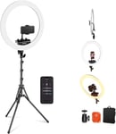 NEEWER Professional Ring Light with Stand and Phone Holder, 18 inch White 