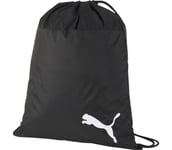 teamGOAL23 Gymbag Unisex Puma Black ONESIZE