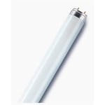 OSRAM Lysrør T8 G13 36W/830 3350 lumen 1200mm 4050300517896