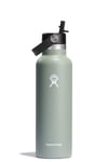 Hydro Flask 21oz (621ml) Standard Mouth Drink Bottle w/ Flex Straw Cap Agave