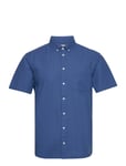 Shirt Blue Blend