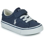 Baskets basses enfant Polo Ralph Lauren  SAYER PS