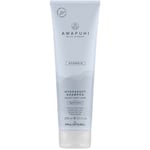 Paul Mitchell Awapuhi Wild Ginger Hydrasoft Shampoo 250 ml