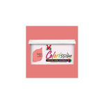 Peinture V33 Colorissim Satin Saumon n°51 2,5 L