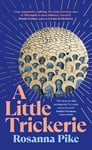 A Little Trickerie: The Sunday Times bestselling debut novel about a plucky and loveable vagabond and how she conned Tudor England