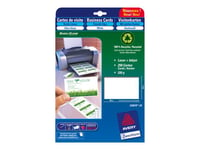 Avery Zweckform Quick&Clean C32075 - Cartes de visite en papier couché mat - blanc brillant - 85 x 54 mm - 220 g/m² - 250 carte(s) ( 25 feuille(s) x 10 )