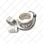 Groupe Moteur Stator Électrique 230V Pour 746 Pièces D'Origine FAAC 63003162