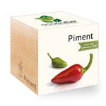 Feel Green Ecocube Piment Certifiées Bio, Idée Cadeau (100% Ecologique), Grow-Your-Own/Kit Prêt-à-Pousser, Plantes Dans Des Cubes En Bois 7.5cm, Produit En Autriche