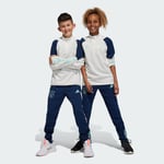 adidas Pantalon d'entraînement Ajax Amsterdam Tiro 23 Junior Enfants Kids