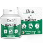 Dulàc - Condrolac Glucosamine + Chondroïtine Chien 90 Comprimés pour Les Articulations Riches en Chondroprotecteurs - pour Chiots Et Adultes De Toutes Races Et Tailles