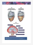 Principles of Movement