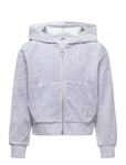 Lindex Sweatshirt Velour With Hoodie Grå