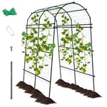 FANTASK Treillis pour Plantes grimpantes - Arche de Jardin de 230 cm avec Structure métallique revêtue de polyéthylène - Arche de Jardin pour légumes, Fruits, Fleurs