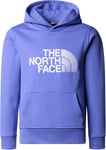 The North Face The North Face Boys' Drew Peak Hoodie Dopamine Blue M, Dopamine Blue