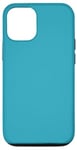 Coque pour iPhone 15 Pro Bleu