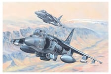 Hobby Boss 081804 1/18 AV-8B Harrier II Kit de modélisme ferroviaire en Plastique Multicolore