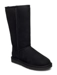 UGG W Classic Tall Ii Blå